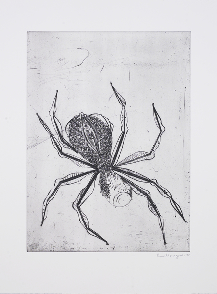 Medium spider 1995