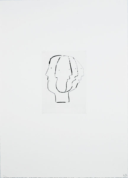 Medium anatomy 05