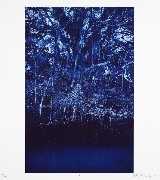 Medium blue sisters 01