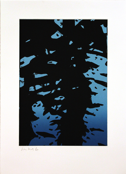 Medium ak10 01 reflection i 2010