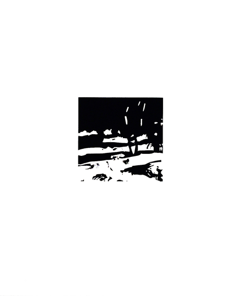 Medium landscape 01