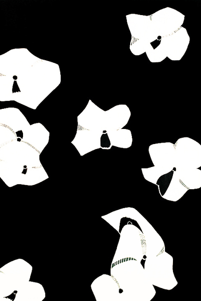 Medium impatiens 2001 jpg
