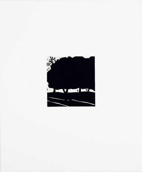 Medium untitled tree 2001