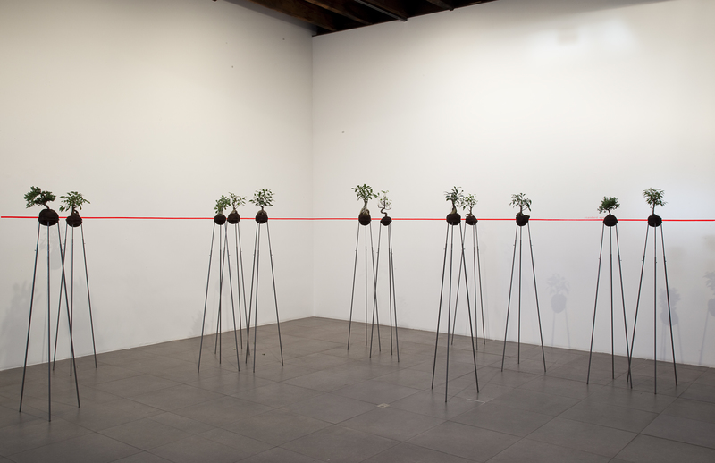 peter blum gallery
